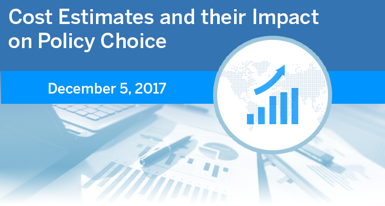 Cost Estimates and their Impact on Policy Choice